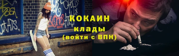 стаф Арсеньев