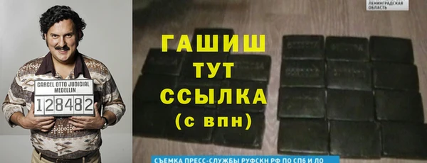 стаф Арсеньев