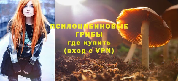 2c-b Аркадак