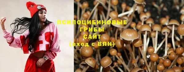 стаф Арсеньев