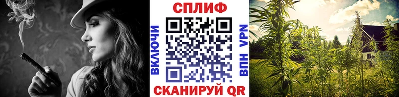 цены   Тобольск  Шишки марихуана SATIVA & INDICA 